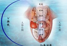 不同效果说明|川公英百草功夫枸杞桑葚七果联盟固体饮料功效说明-高血脂高血压健康有方网