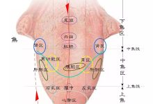 川公英|空间医学郭氏八穴:促进整体能量运动,恢复深层新元气,让你气血畅通-高血脂高血压健康有方网